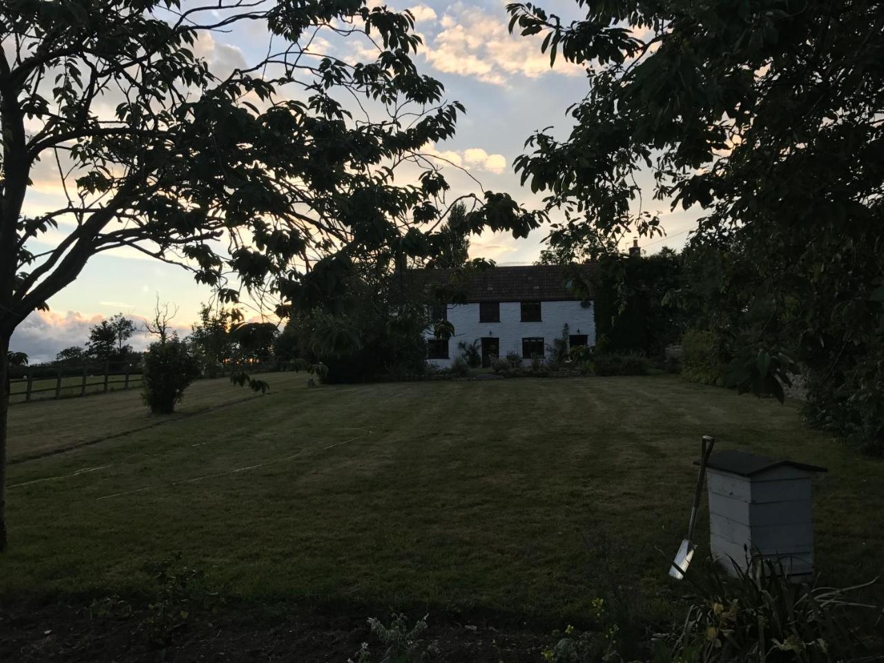 Mount Pleasant Farm Bed and Breakfast Wedmore Eksteriør billede